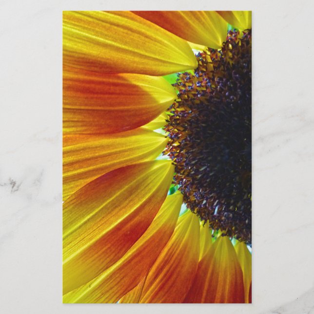 Solros Brevpapper (Framsida)