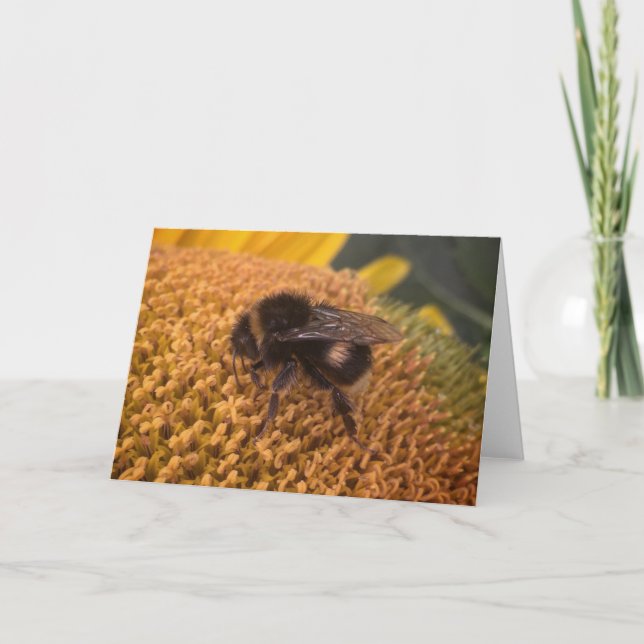 Solros Bumblebee Helgkort (Framsida)