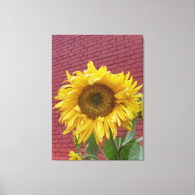 Solros Canvas (Framsida)