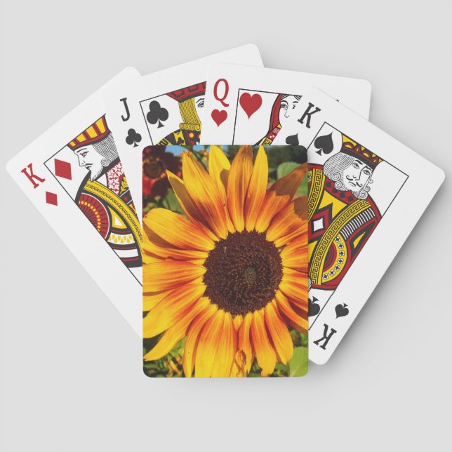 Solros Casinokort (Baksidan)