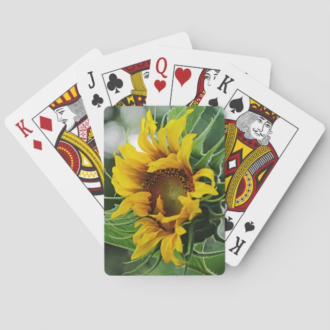 Solros Casinokort (Baksidan)