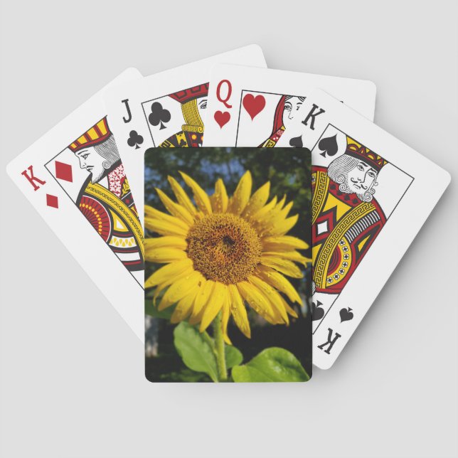 Solros Casinokort (Baksidan)