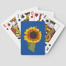 Solros Casinokort
