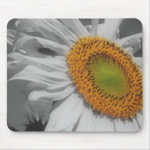 Solros Close Up Black White Mousepad Musmatta