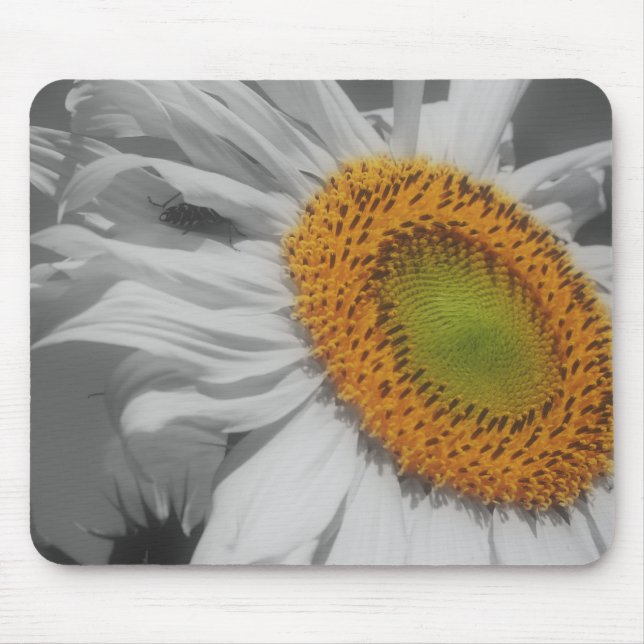 Solros Close Up Black White Mousepad Musmatta (Framsidan)