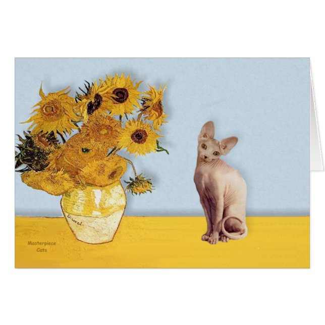 Solros - Crème Sphyx katt Hälsningskort (Framsidan Horizontal)