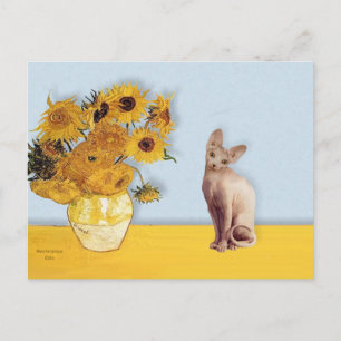 Solros - Crème Sphyx katt Vykort