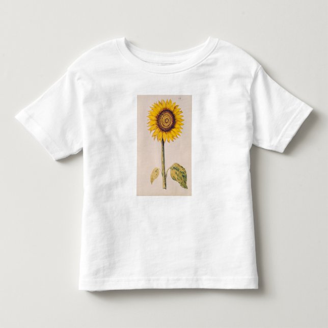 Solros eller Helianthus T-shirt (Framsida)
