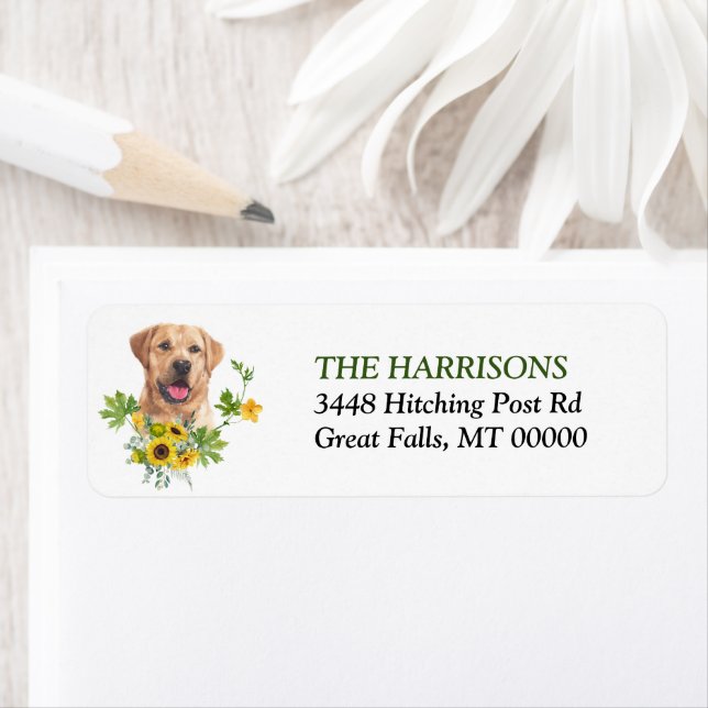Solros Eucalyptus Gult Labrador Retriever Returadress Etikett (Insitu)