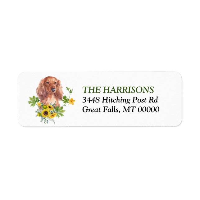 Solros Eucalyptus Red Dachshund Returadress Returadress Etikett (Framsidan)
