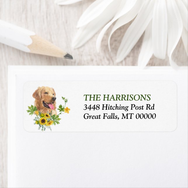 Solros Eukalyptus Golden Retriever Hund Returadress Etikett (Insitu)