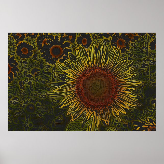 Solros Fält 36 x 24 Poster (Framsidan)