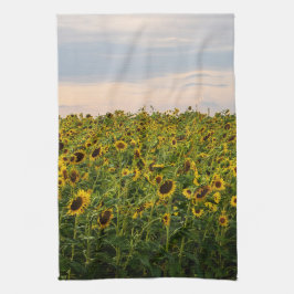 Solros Fält i kvällsljus Kökshandduk