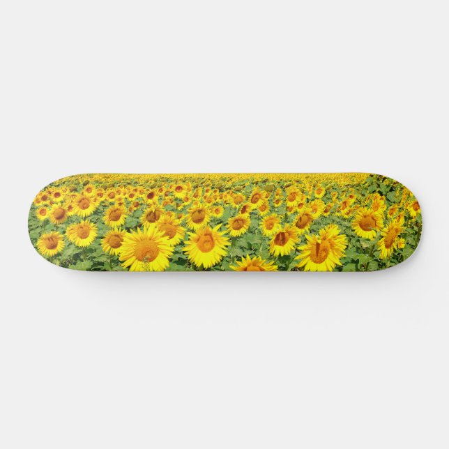 Solros fält mini skateboard bräda 18,5 cm (Horz)