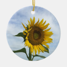 Solros Fält Ornament
