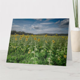 ’Solros Fält’ Tack Kort