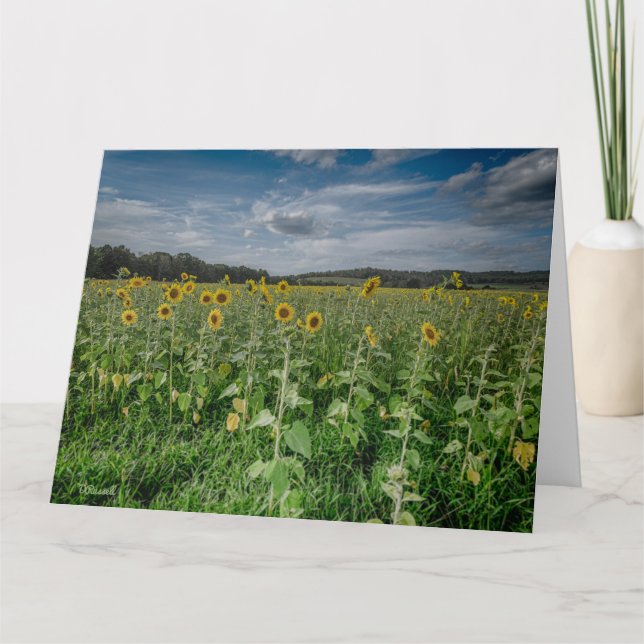 ’Solros Fält’ Tack Kort (Framsida)