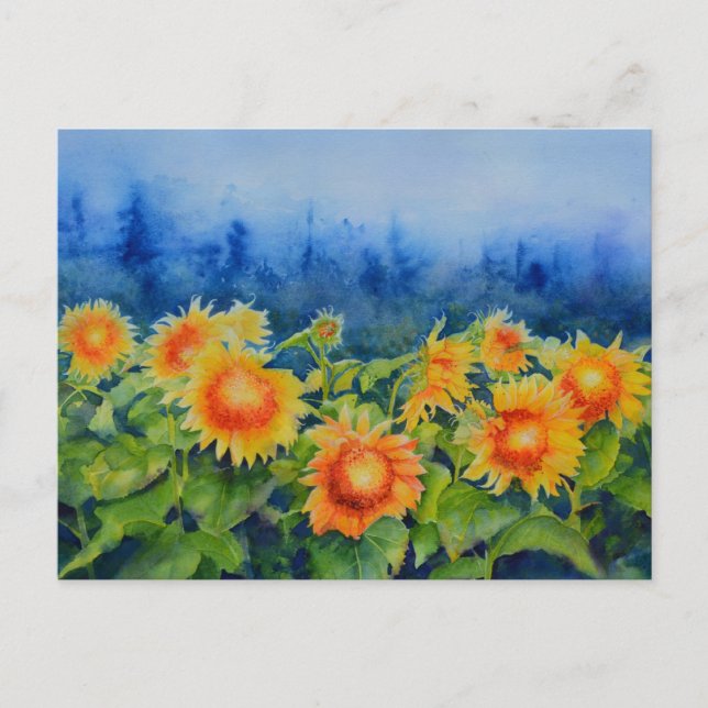 Solros Fält Vykort (Framsida)