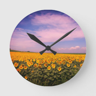 Solros Fält Wall Clock Rund Klocka