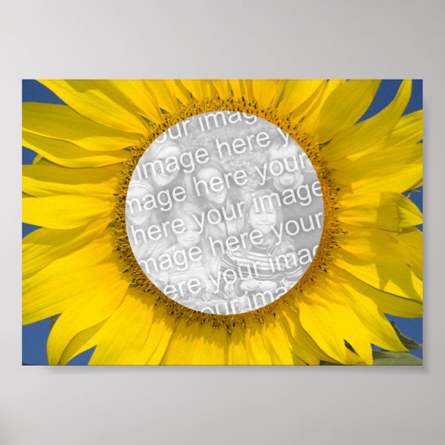 Solros Foto Poster (Framsidan)