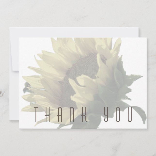 Solros Funeral Tack (Framsida)