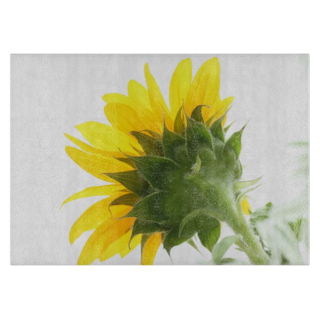 Solros Fuzz Glasskärl (Framsidan)