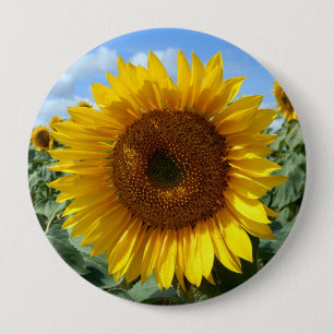 Solros Giant Badge Knapp