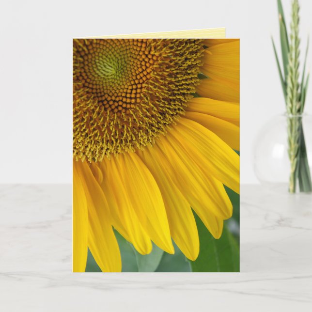 "Solros" GREETINGKORT Kort (Framsida)