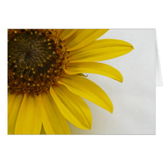 Solros Hälsningskort