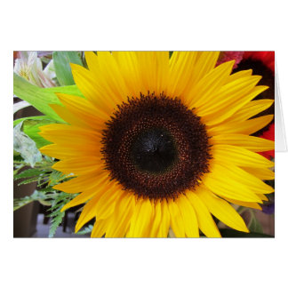 Solros Hälsningskort