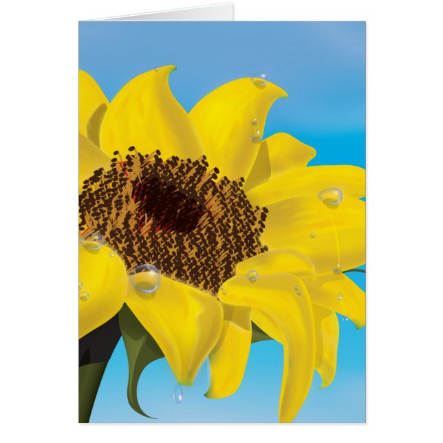 Solros Hälsningskort (Framsidan)