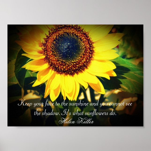 Solros Helen Keller Quote: Uböjande Poster (Framsidan)