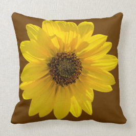 Solros (Helianthus), bakgrundsbelyst av sol Kudde