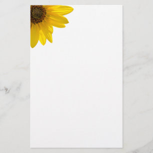 Solros (Helianthus) med bakgrundsbelysning Brevpapper
