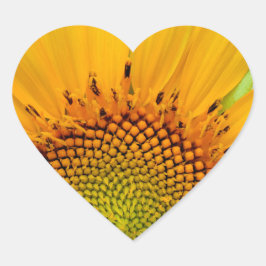 Solros Hjärtformat Klistermärke