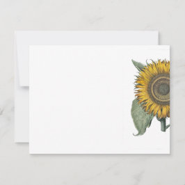 Solros Hortus Eystettensis , 1713 Anteckningskort