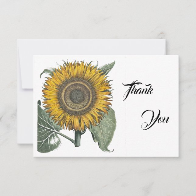 Solros Hortus Eystettensis , 1713 Tack Kort (Framsida)