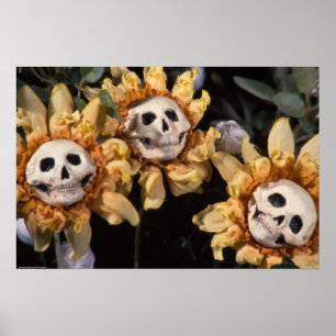 Solros i blod och rött stringskal poster