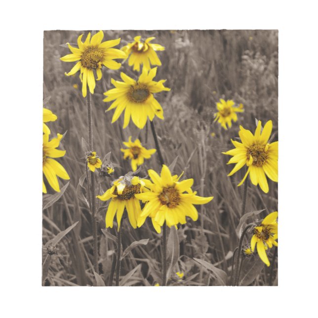 Solros i Rocky Mountain Anteckningsblock (Framsida)