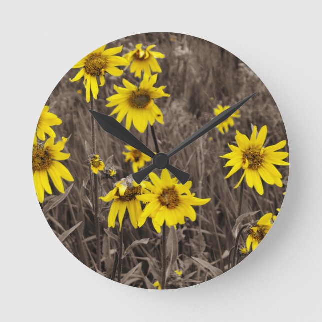 Solros i Rocky Mountain Rund Klocka (Framsida)