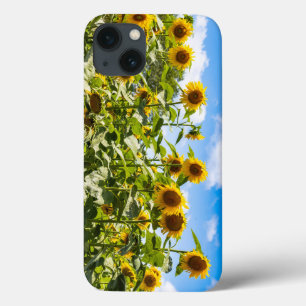 Solros iphone case