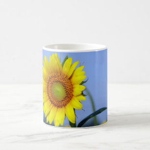 Solros Kaffemugg