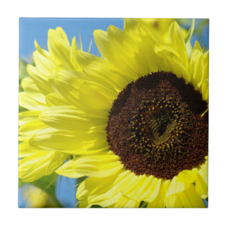 Solros kakelkonst gåvor Gul Blommig Solros Kakelplatta