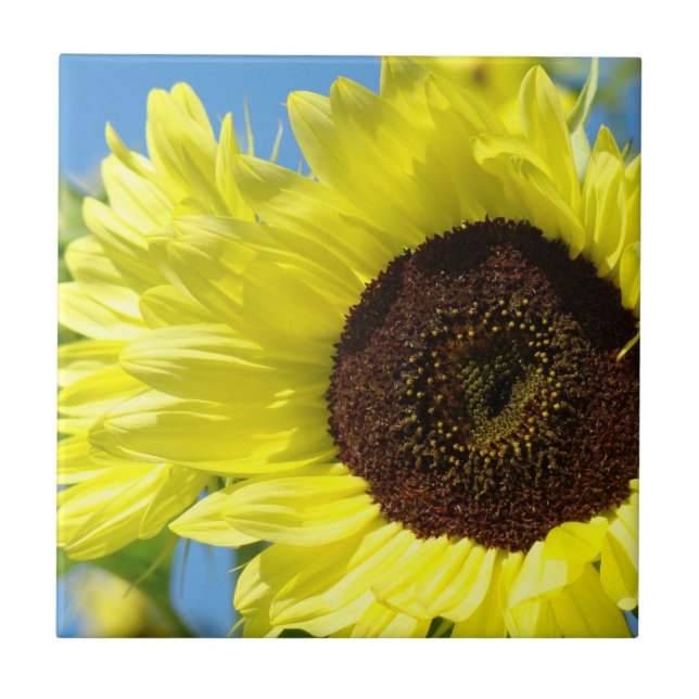 Solros kakelkonst gåvor Gul Blommig Solros Kakelplatta (Framsidan)