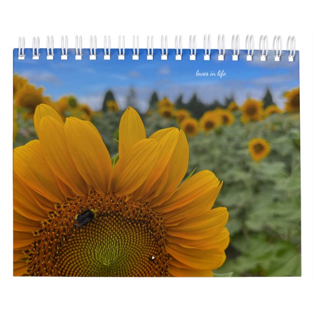 Solros Kalender (Omslag)