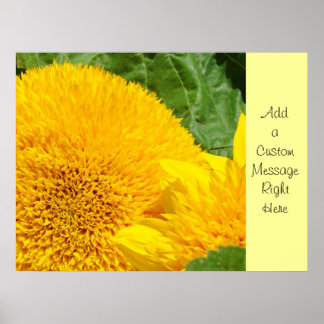 Solros konst Anpassade meddelandeutskrifter Solros Poster