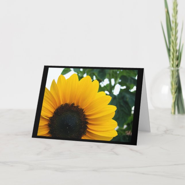 Solros Kort (Framsida)