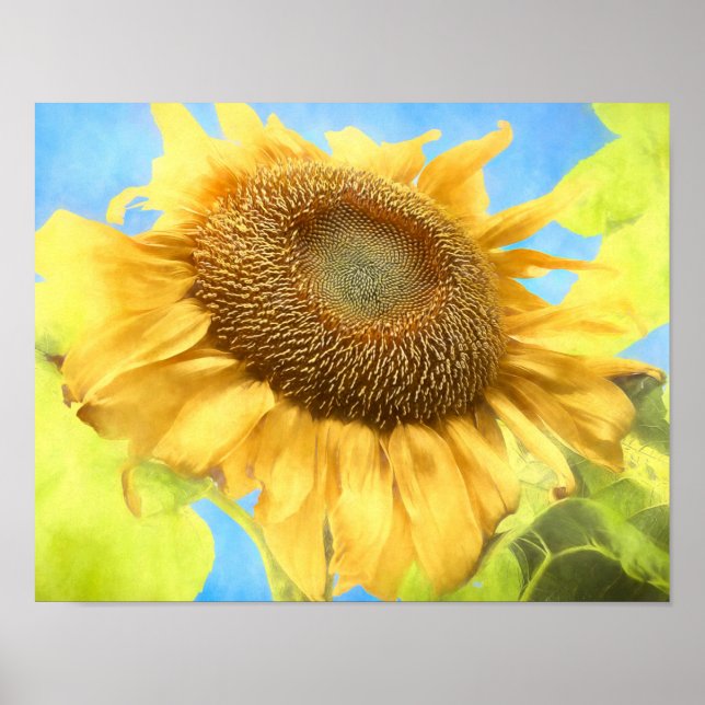 Solros Land Rustic Gult Vattenfärg Poster (Framsidan)