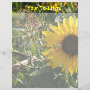 Solros Letterhead