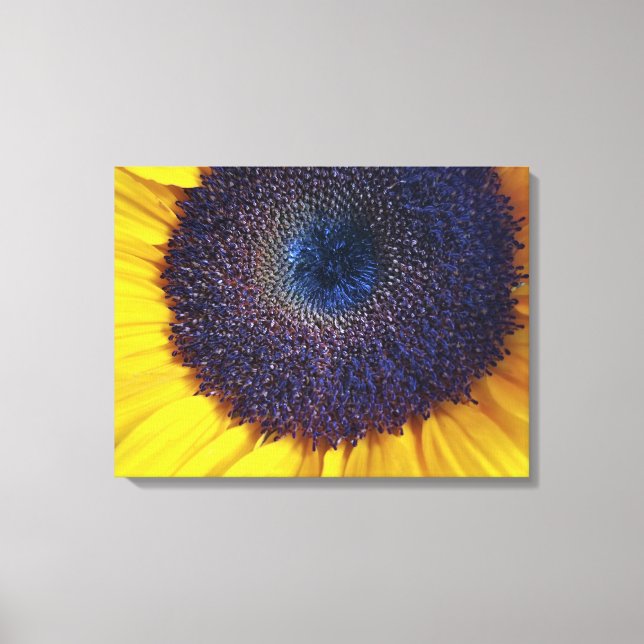 Solros med Blue Center Closeup Canvas Art (Framsida)